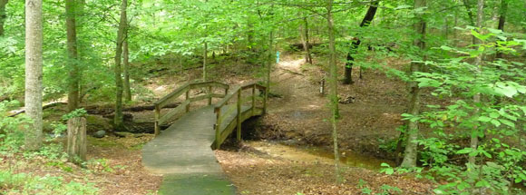 Brookhaven Nature Park